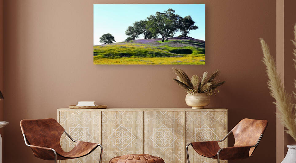 Barossa Valley in Spring by Lexa Harpell