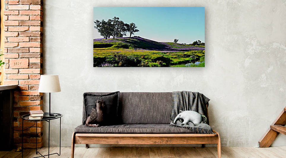 Spring in the Barossa Valley by Lexa Harpell
