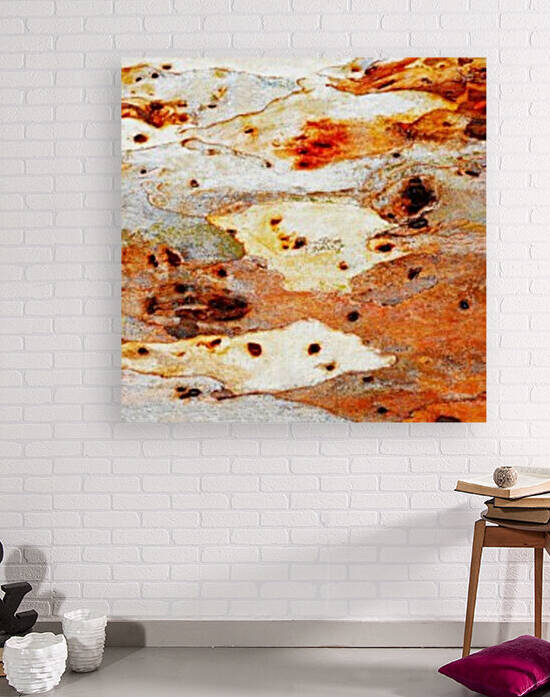 Gum Tree Bark - Mt Remarkable 7 by Lexa Harpell