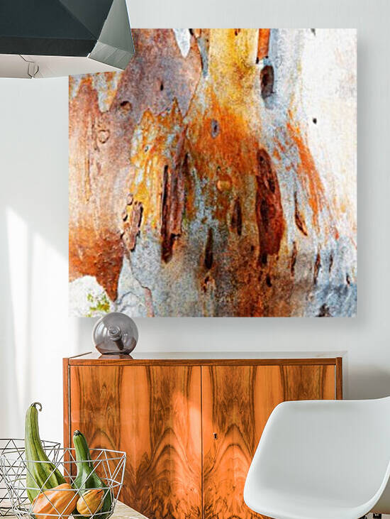 Gum Tree Bark - Mt Remarkable 2 by Lexa Harpell