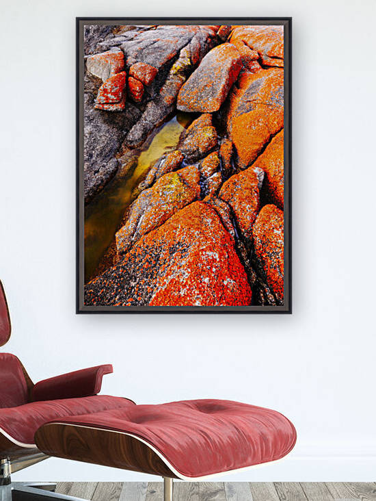 Rock Abstract - Bay of Fires by Lexa Harpell