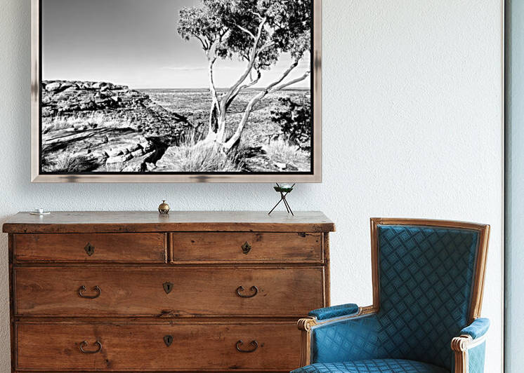 Ghost Gum on Kings Canyon - BW by Lexa Harpell