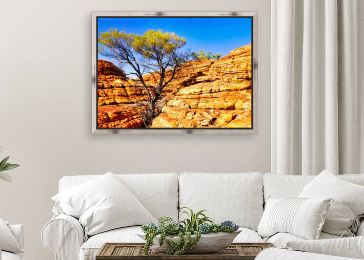 Twisted Tree in the Rocks - Kings Canyon by Lexa Harpell