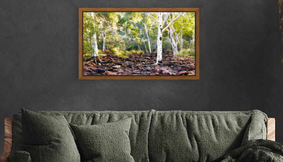 Kings Creek - Kings Canyon by Lexa Harpell