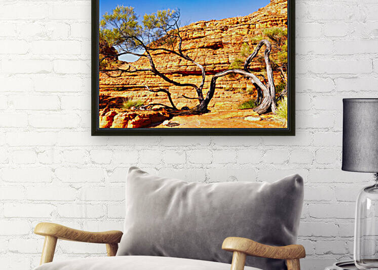 Twisted Tree in the Rocks - Kings Canyon by Lexa Harpell