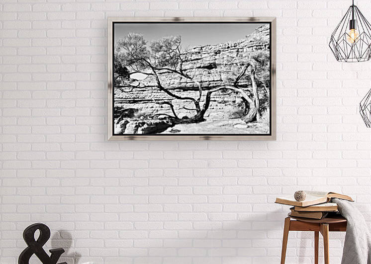 Twisted Tree in the Rocks - Kings Canyon - BW by Lexa Harpell
