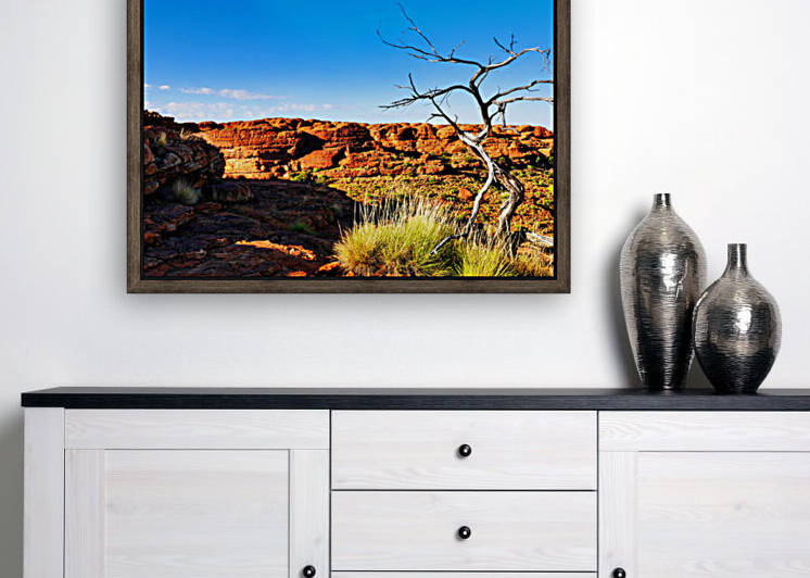 Bare Tree - Kings Canyon  by Lexa Harpell