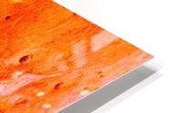 Salmon Bark HD Metal print