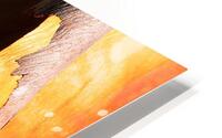 Salmon Bark Peeling HD Metal print