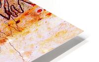 Scribbly Gum Bark 2 HD Metal print