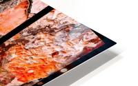 Pine Tree Bark Montage HD Metal print