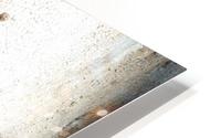Ghost Gum Bark - 2 HD Metal print
