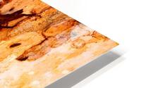 Ghost Gum Bark - 4 HD Metal print