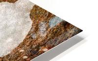 Ghost Gum Bark - 5 HD Metal print
