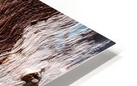Ghost Gum Bark - 6 HD Metal print
