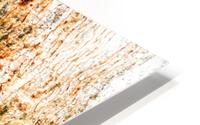 Aussie Gum Tree Bark - 1 HD Metal print