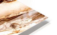 Aussie Gum Tree Bark - 7 HD Metal print