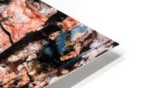 Aussie Gum Tree Bark - 5 HD Metal print