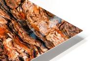 Aussie Gum Tree Bark - 6 HD Metal print
