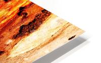 Murray Gum Tree Bark 2 HD Metal print