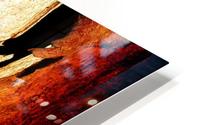 Murray Gum Tree Bark 3 HD Metal print
