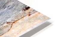 Murray Gum Tree Bark 5 HD Metal print