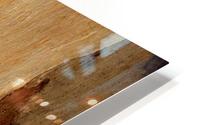 Murray Gum Tree Bark 6 HD Metal print