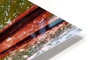Murray Gum Tree Bark 10 HD Metal print