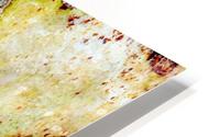Aussie Gum Tree Bark - 9 HD Metal print