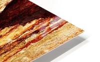 Murray Gum Tree Bark 16 HD Metal print