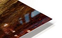 Murray Gum Tree Bark 17 HD Metal print