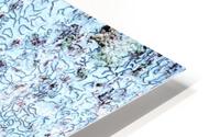 Aussie Gum Tree Bark - 11 HD Metal print