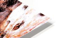 Aussie Gum Tree Bark - 17 HD Metal print