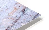 Aussie Gum Tree Bark - 20 HD Metal print