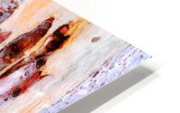 Aussie Gum Tree Bark - 21 HD Metal print