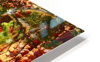 Sandy River - Ormiston Gorge HD Metal print