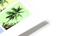 Palm Tree Collage 2 HD Metal print