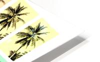 Palm Tree Collage 4 HD Metal print