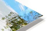 Lurking HD Metal print