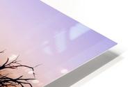 Sunset Reflection on Pamamaroo HD Metal print
