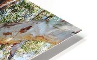 Burnt Out HD Metal print