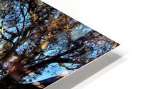 Old Wilpena Station  HD Metal print