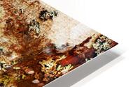 Aussie Alpine Tree Bark HD Metal print