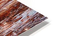 Aussie Alpine Tree Bark 2 HD Metal print