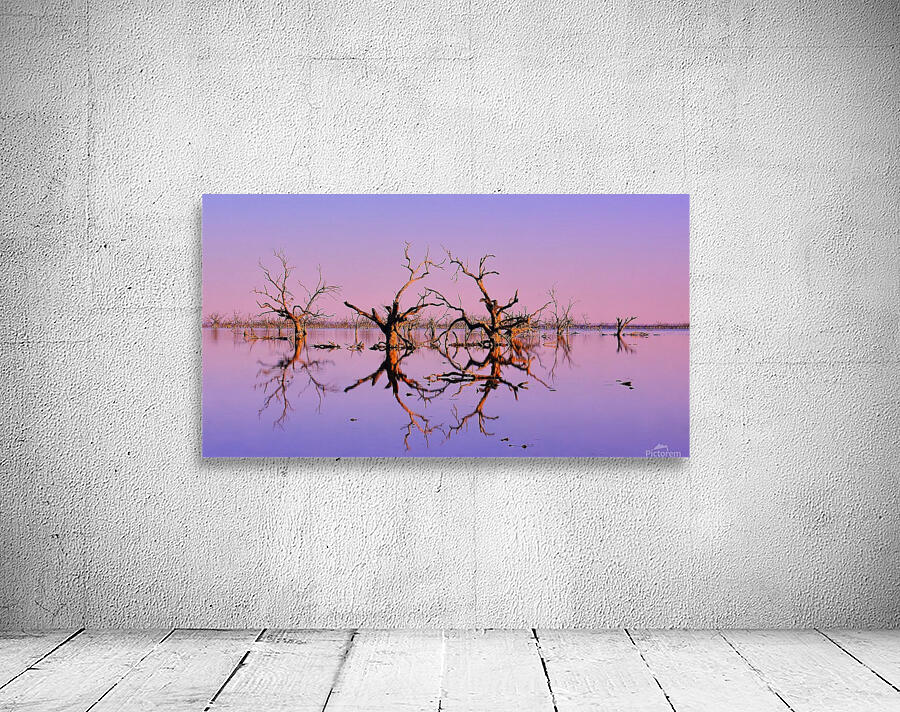 Twin Reflections - Pamamaroo Lake Wall Preview