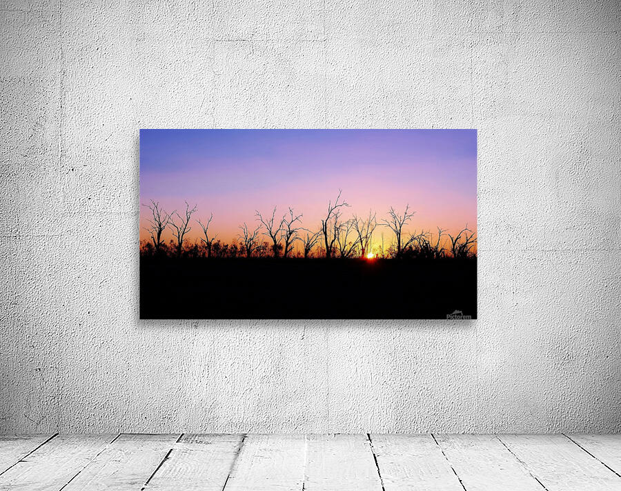 Sunset Silhouette Wall Preview
