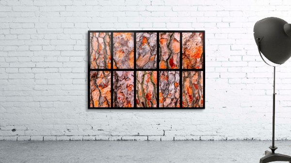 Pine Tree Bark Montage Wall Preview