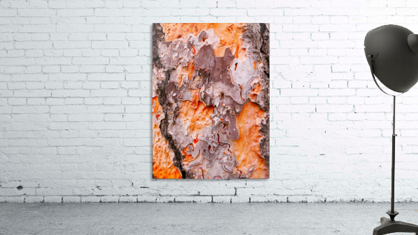 Pine Tree Bark Wall Preview