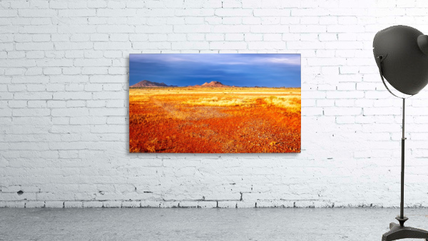 Somewhere in the Outback  Wall Preview
