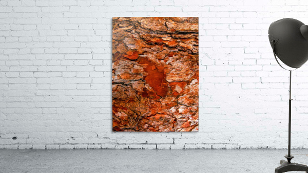Aussie Gum Tree Bark - 6 Wall Preview